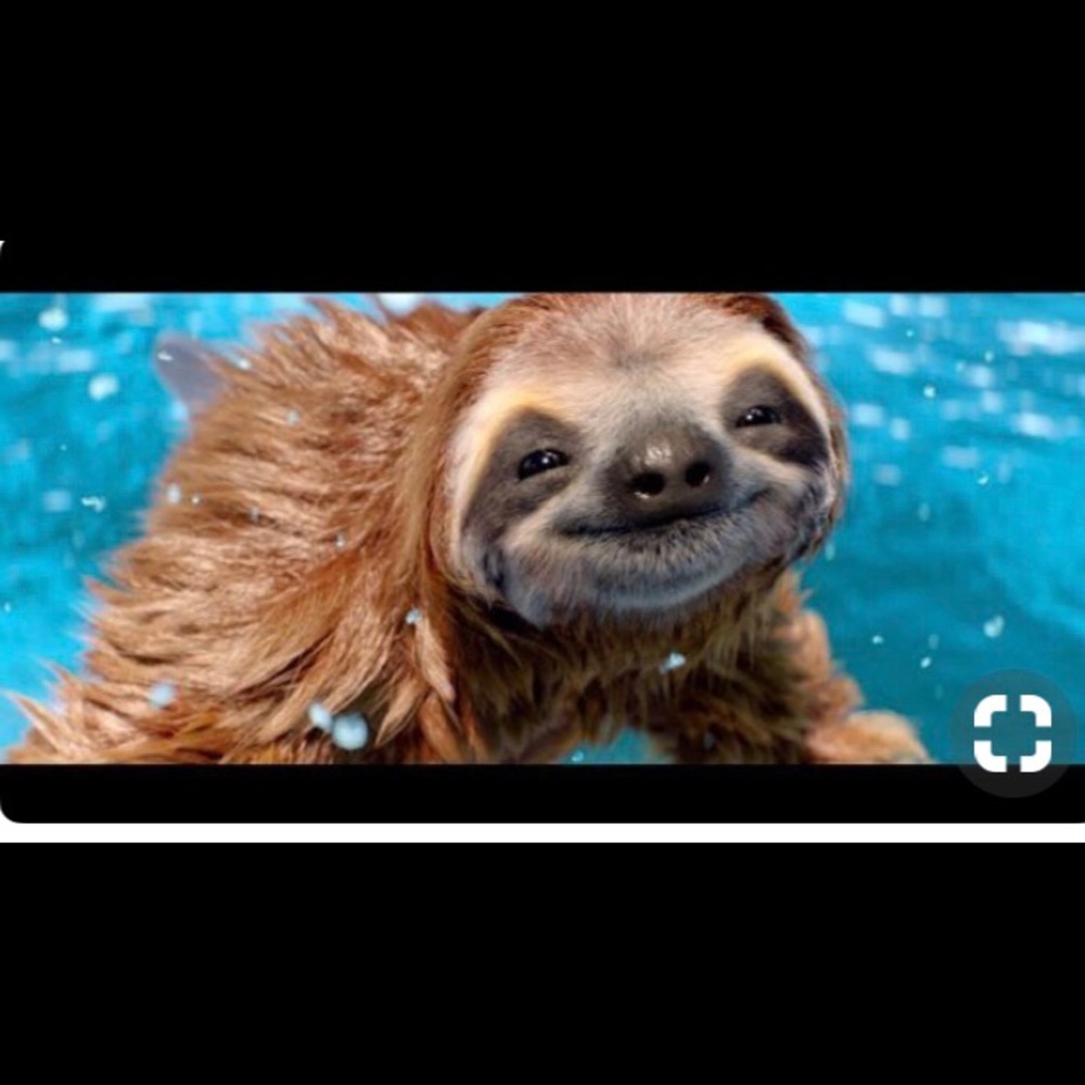 Meet your Posher, Diana